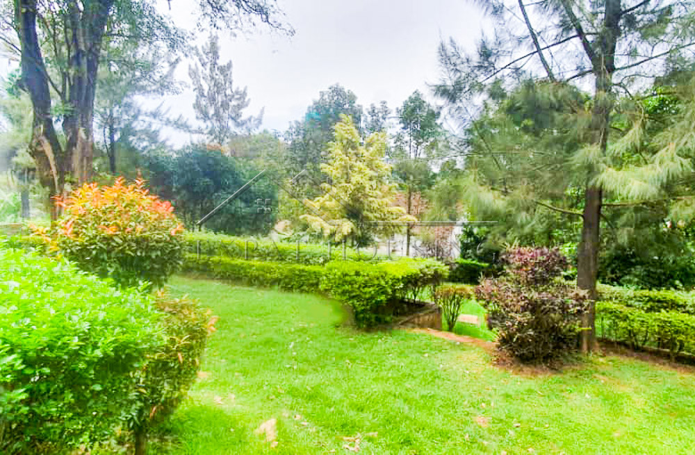 IMG-20241213-WA0031-Edit