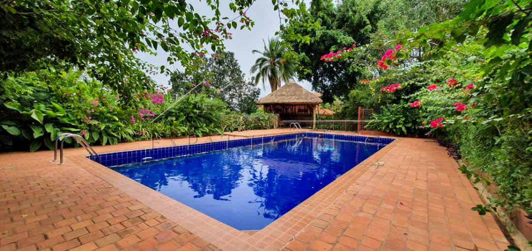 e1af9e0a-fe3f-4be4-b27e-b7444ec7bd10