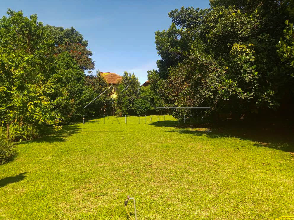 0c9832d2-a6ff-48d0-9cb5-558572587590