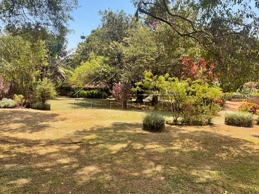 0cf61849-0198-4e9b-b298-918cd47bde37