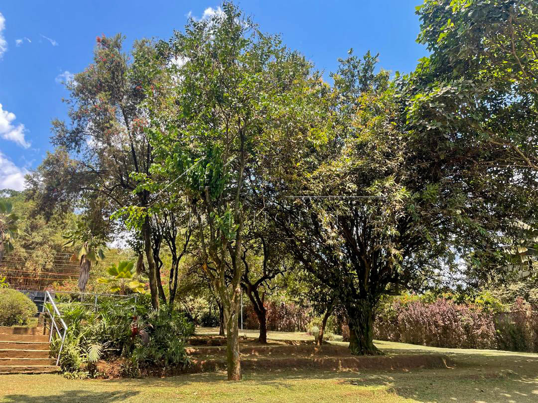 2c1c2418-3089-44cc-9007-ed9f6dc54e6e