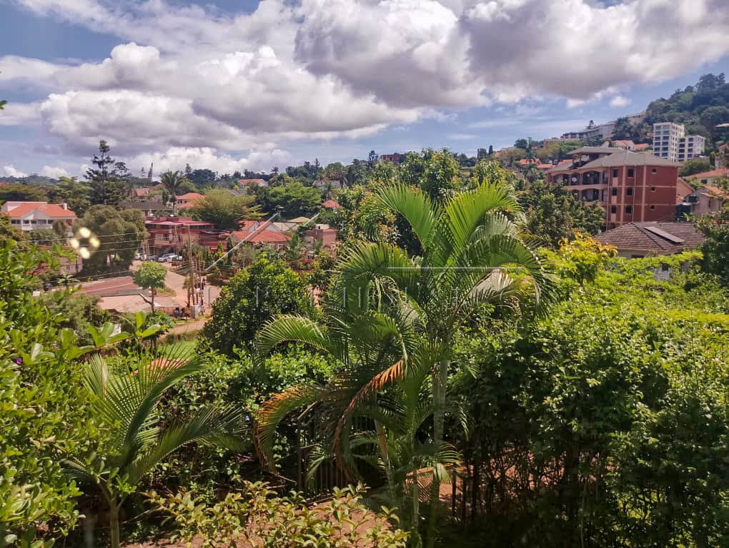 f339e954-41aa-4410-a2c8-38d22b895599