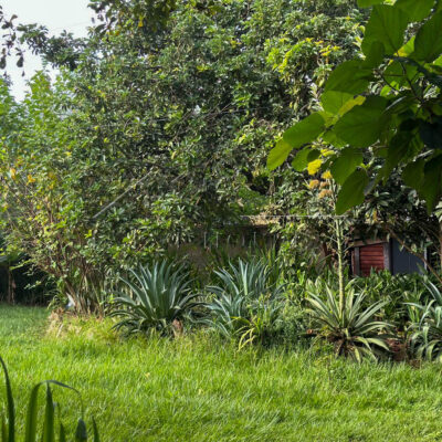 02fde60c-e524-4df8-a702-11f1fbf4c12f