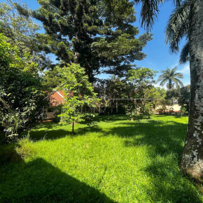 03f8be74-dce0-41a3-abd2-97464703ec0a