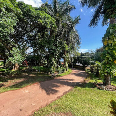 09301f06-92d0-4684-ba3c-1ea6f90ac9ba-2