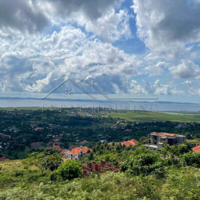 0b432f13-055d-417a-974d-7d0290b7e3ef