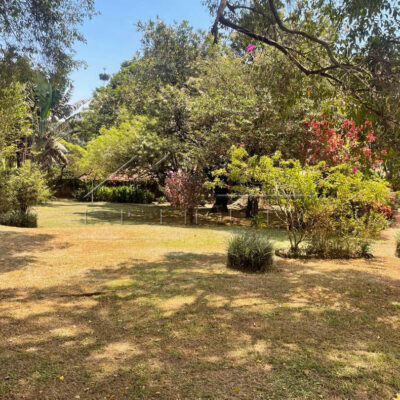 0cf61849-0198-4e9b-b298-918cd47bde37