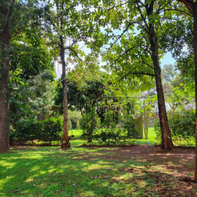 12b6c75f-7c33-498d-ab42-bb64ac6edd50