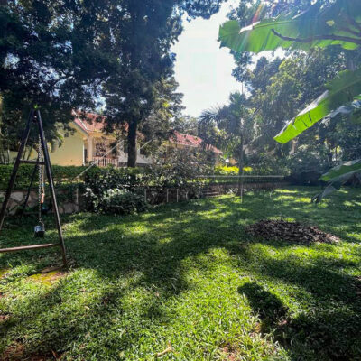 146fd19e-354d-4237-b0d3-926ecd2a8534