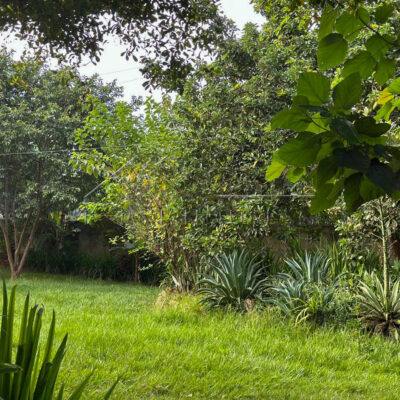 1673a285-848e-4a0d-8a34-a5cfb532accd