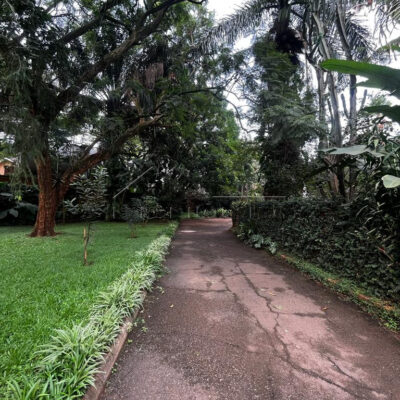 1b778252-944d-498b-8de9-52cc2221912f