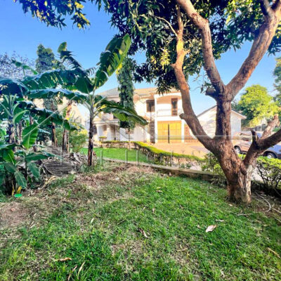 1c271d39-9907-4da6-bb58-e2e7ff400ad4