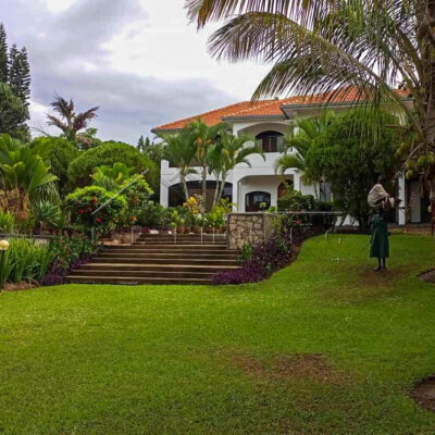 1cf1cc54-7b2a-46f8-8170-2bb40f334c56