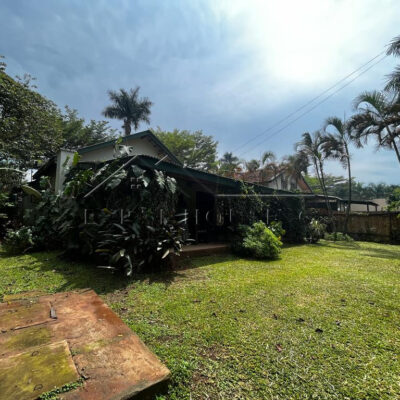 1ed93f5b-de6a-47da-89da-cdd7b6823474