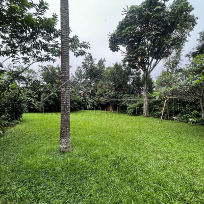 21622e0e-1dac-411e-8a5d-370c92fc566b