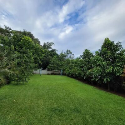 232517506_1201443210324732_5637525115459902654_n