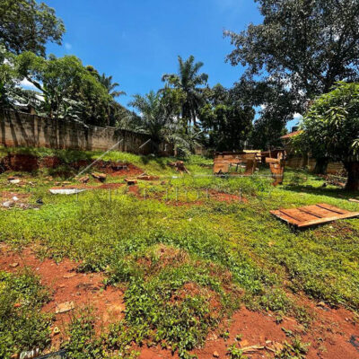 280ac48b-9525-424e-98ec-ccaa063ef15e