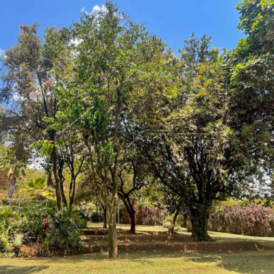 2c1c2418-3089-44cc-9007-ed9f6dc54e6e