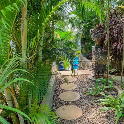 31a898d5-3c19-4cbd-bdae-f17ef8b95622