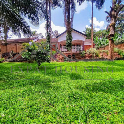 329144029_1551101728729407_859671396217456618_n