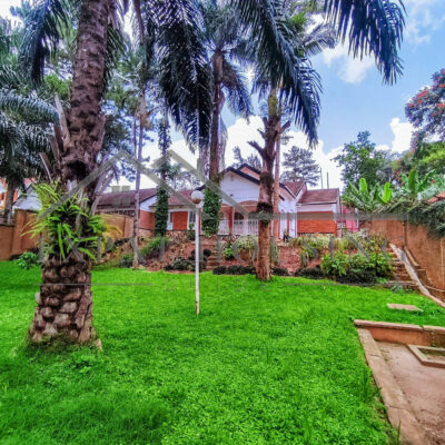 329236003_1111311766206571_4198237626993891884_n