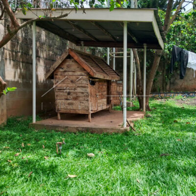 3801dcfc-9818-4e20-b58a-cfa9cf0283f6