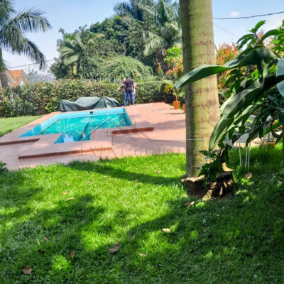 3b7f91e5-ec7b-4c24-8812-14ddea27adf6