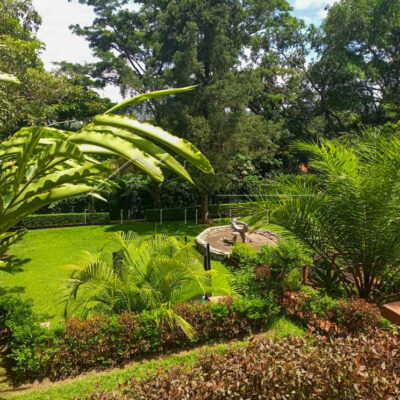 3d5f62e2-0481-49f6-ad31-28f39cd33fe3