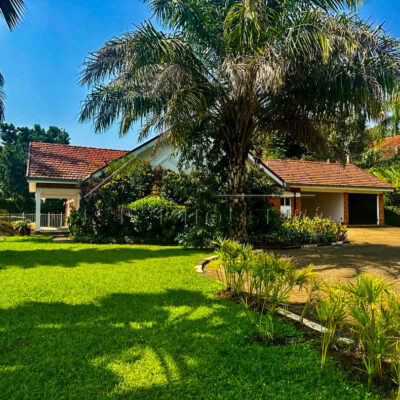 3dd9dae4-5a11-4345-ab40-8472515a2282 (1)