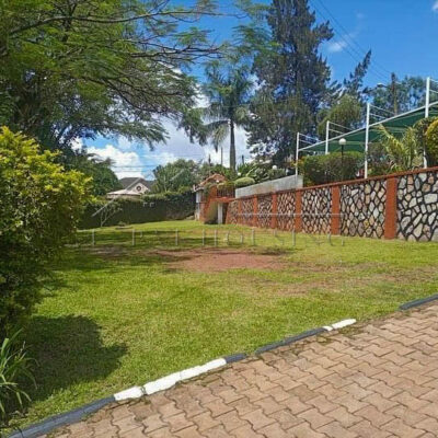 436365992_18123569452350823_9207861885259654225_n