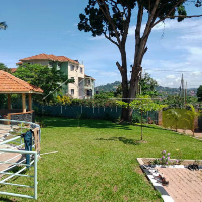 478a354d-5013-4bcc-82e1-3b1b83ad79bc