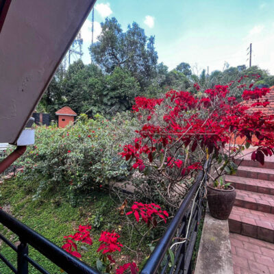 4c2416d4-6a7e-47ee-ade3-c69f22802e1c