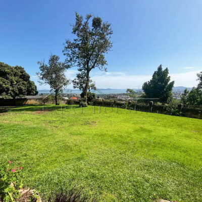 526de45a-944d-4306-96cb-047ff3d57ca7-2