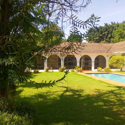 52a2149b-6d32-48df-8dc7-2a45b26ad607