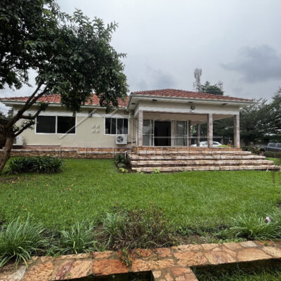 543d7e17-efe9-4cb7-848e-a4332e6dc234 (1)