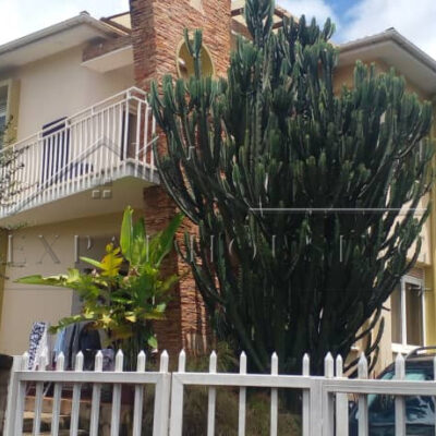 547e1d20-bcec-4ff5-b17a-8f819f6fa398