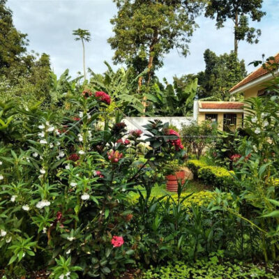 56a0de8c-1bd7-4100-9007-26dcff469593