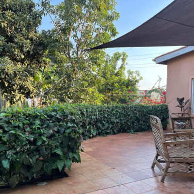 584a9862-c2b3-4f75-8a12-58eedc18041d (1)