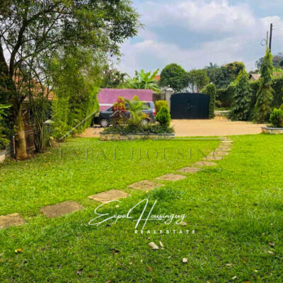 5f672dfd-ce93-4a66-a20b-f7cdc5ae57b1