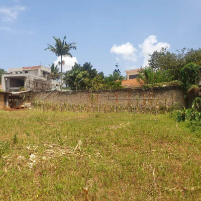 6ccc73e3-042e-4ef1-90f0-d3482827f703