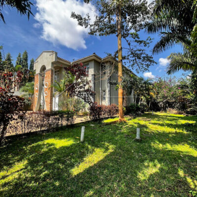 6d5d1c6d-477a-4718-9e6a-1d932dd0c2d5