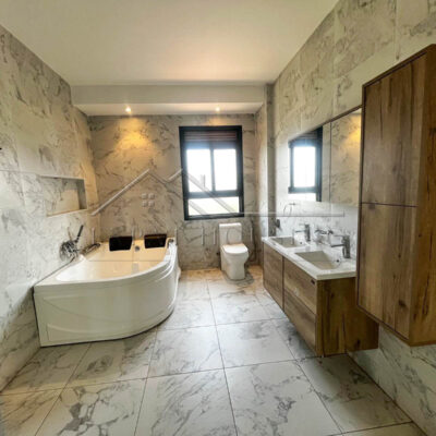 6e6583d6-016d-4fff-83e1-e5303082ee3e