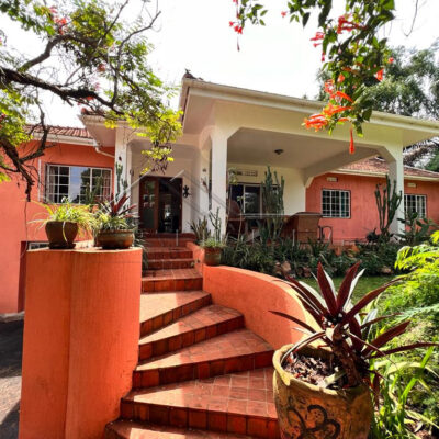 6ea1c7b0-732a-4948-bd8d-32b73831e029 (1)