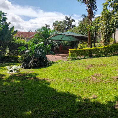 7075c6a4-c874-4ddf-8c52-38e6f5f71c7d