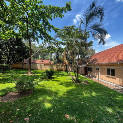 70d73824-10d2-4a52-b19b-9a2071a6e8ec-2