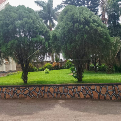 731d564d-4638-4974-a439-8aa332b7a1b7