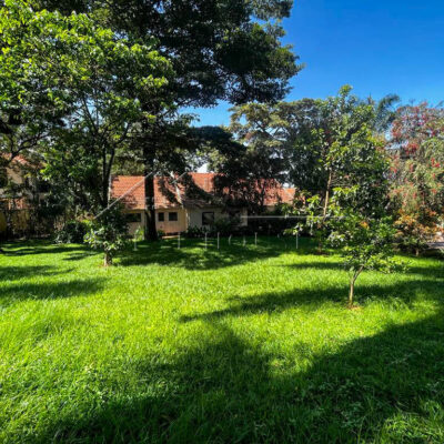 743ebb03-cff6-4ad4-9669-55bb55ec0cf0