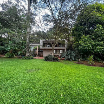 745e755b-afa5-409d-a575-726614d42e02