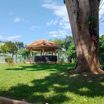 78292fd6-053a-4161-b7cb-fe89aa65148f