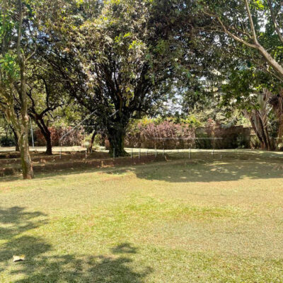 794660d2-b438-42cd-ae74-b65c6b3b5d5d